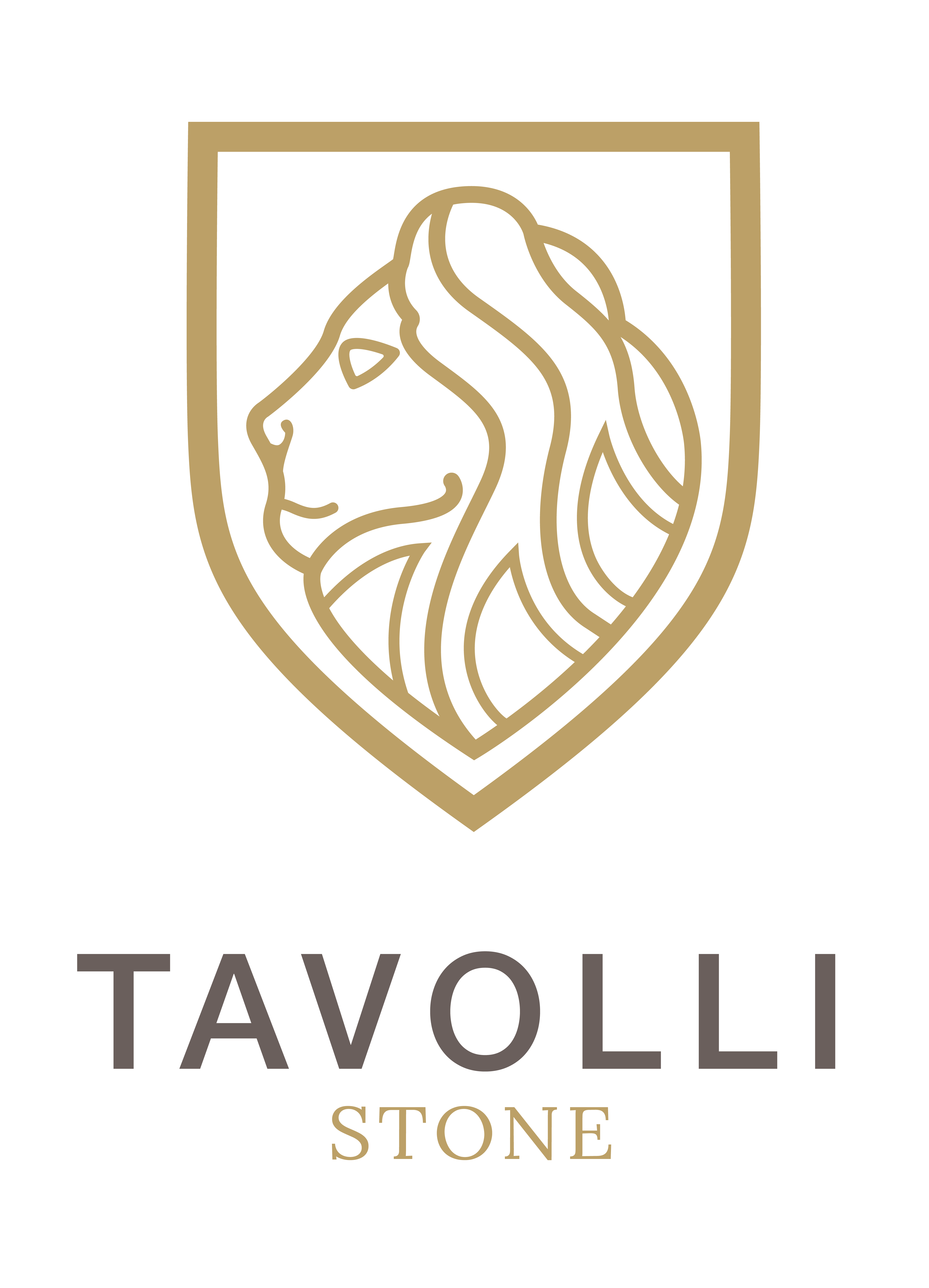 Vizitaţi şi site-ul Tavolli Stone!